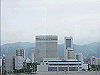 IMG_0216_THUMB.GIF