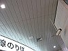 IMG_0285_THUMB.GIF