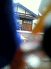 P1000138_THUMB.GIF