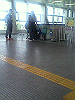 P1000139_THUMB.GIF