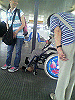 P1000141_THUMB.GIF