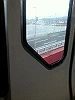 P1000144_THUMB.GIF