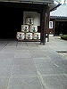 P1000178_THUMB.GIF