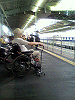 P1000198_THUMB.GIF