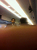 P1000205_THUMB.GIF